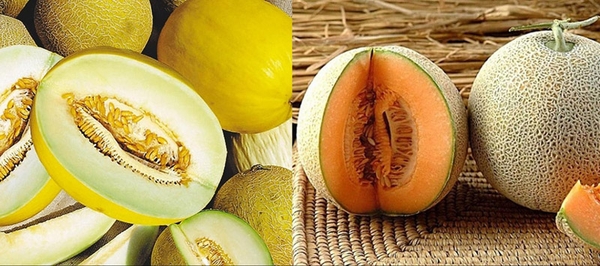 Dưa gang và dưa lưới khác nhau như thế nào? Cách phân biệt