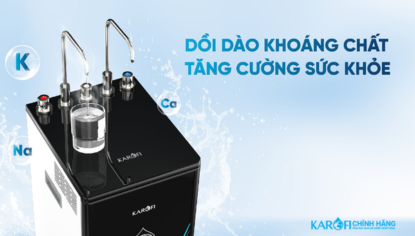 Máy lọc nước nóng lạnh Karofi KAD-D66S