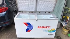 Tủ đông Sanaky VH-4099A1 400 lít