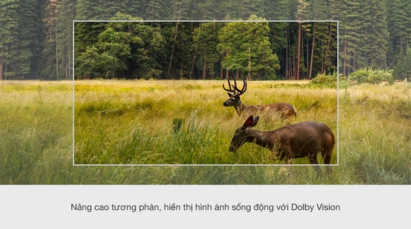 Android Tivi Sony KD-55X85J 4K 55 inch