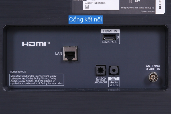 Smart Tivi OLED LG 4K 65 inch 65A1PTB