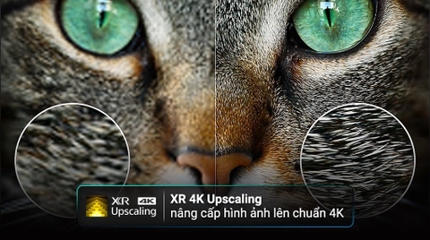 Google Tivi OLED Sony 4K 77 inch XR-77A95M ( 77A95M ) 2024