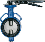 Van bướm Trục đối xứng WBLS - WBGS	- FBGS