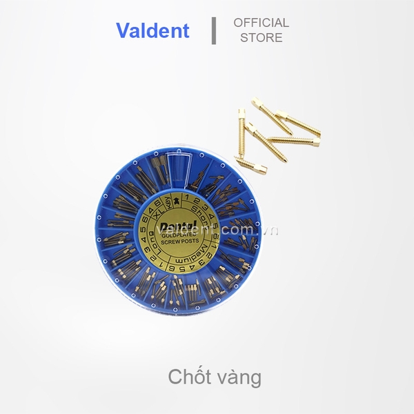 Chốt kìm loại nha khoa 120 chốt/hộp