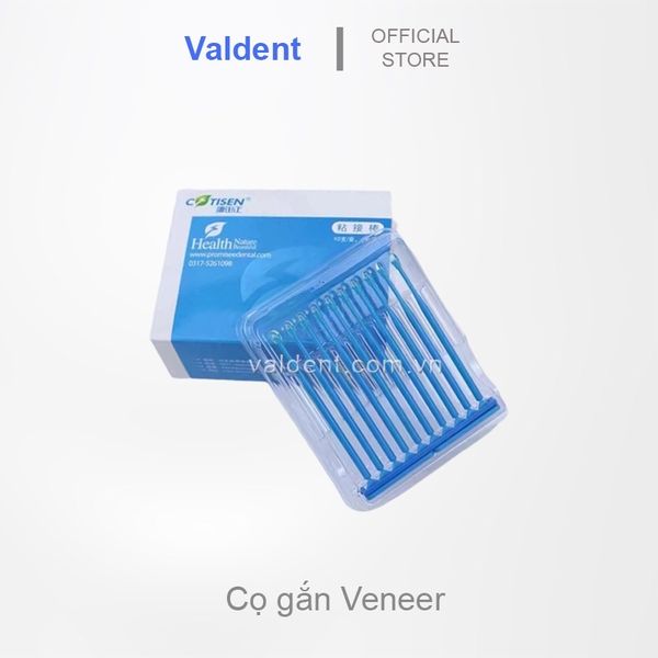 Cọ gắn veneer, onlay, inlay, kim cương răng
