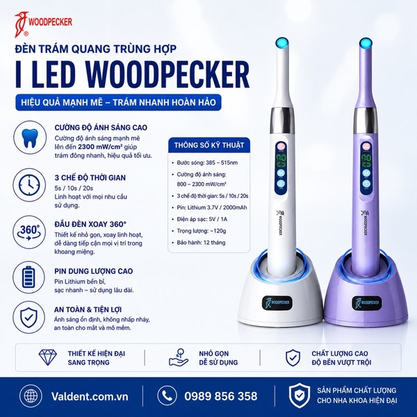 Đèn trám quang trùng hợp I-Led Woodpecker