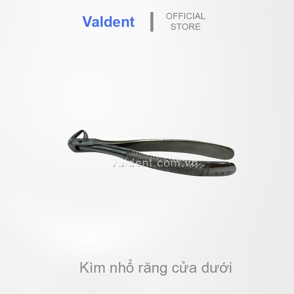 kim-nho-rang-cua-duoi-valdent