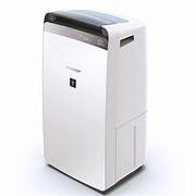 Máy hút ẩm Sharp DW-J20FV-W