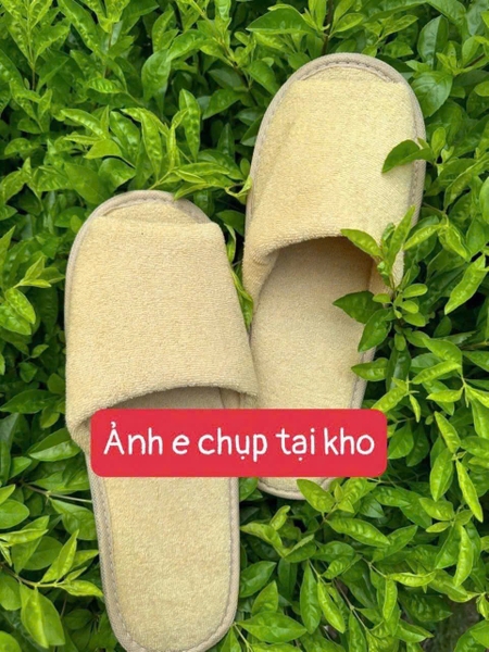 set-10-doi-dep-di-trong-nha-h25111105