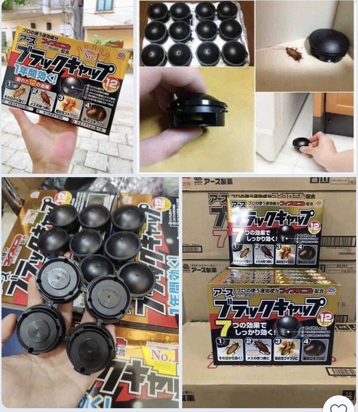 set-2-hop-12-vien-thuoc-diet-dan-nhat-ban-h25073101