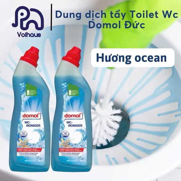 tay-toilet-duc-domol-750ml-cl26102430