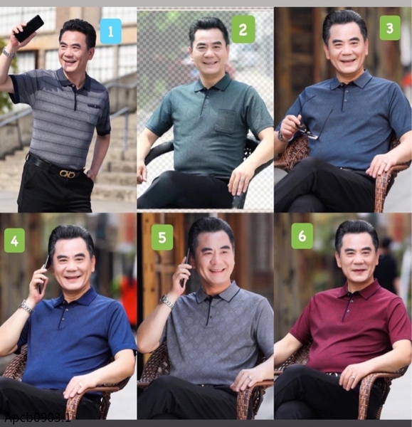 ao-polo-trung-nien-mau-13-24-n24030703