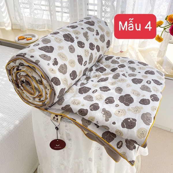 chan-dong-189k-c-c23091606