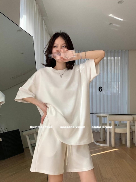 bo-thun-mau-tron-hang-d-studio-v23041408