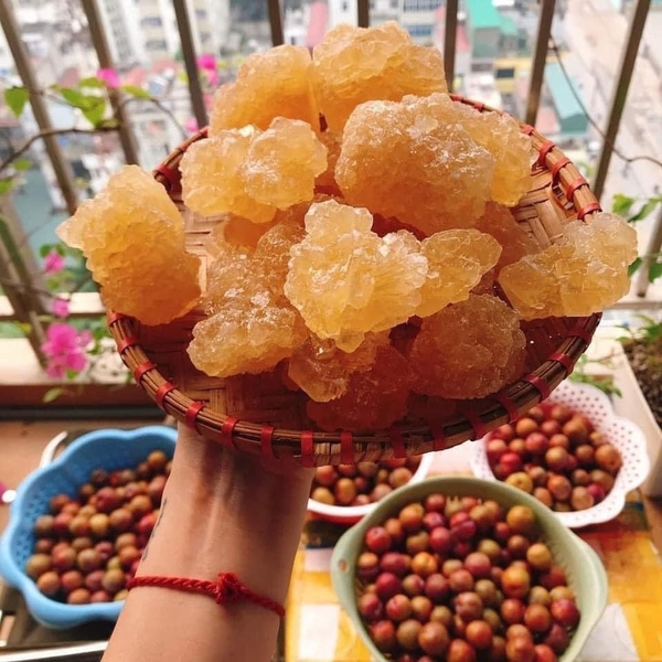 duong-phen-vang-n23060808