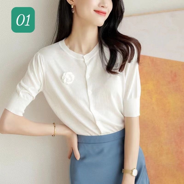 ao-len-dinh-hoa-hang-xuat-han-185k-c-n23071302