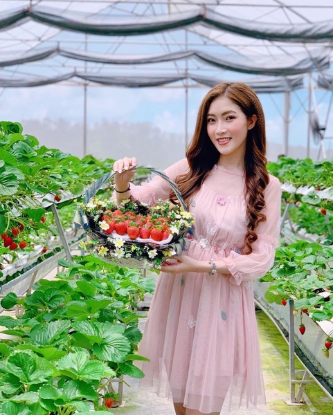 HÀ NỘI - NHA TRANG – ĐÀ LẠT –  HÀ NỘI Thời gian: 05 ngày 04 đêm Phương tiện: Máy bay Vietnam Airlines + Ô tô Khởi hành: Tháng 5, 6, 7, 8, 9/2024