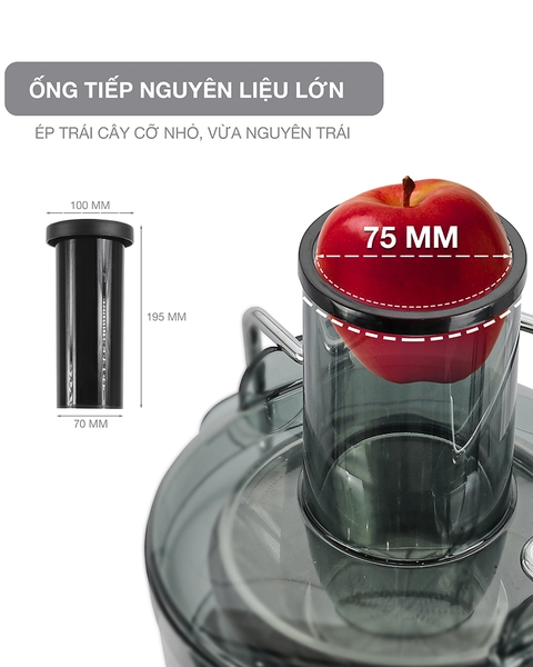 LBEJ3468 - Máy ép nhanh LEBENLANG 1100ml 800W