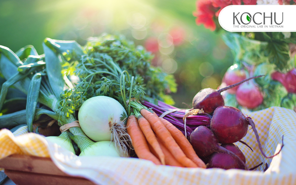 NÊN XỬ LÝ KỸ CÁC LOẠI RAU CỦ NÀY TRƯỚC KHI SỬ DỤNG