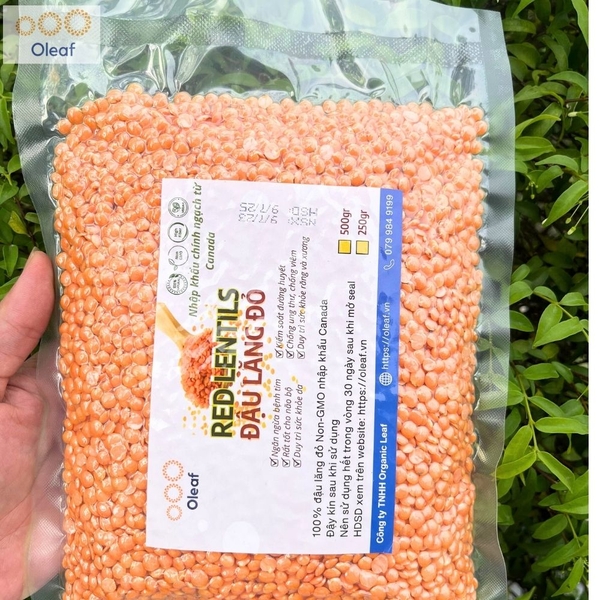Đậu Lăng Đỏ Làm Sữa Hạt Nhập Khẩu Chính Ngạch Từ CANADA, OLEAF Hạt Dinh Dưỡng