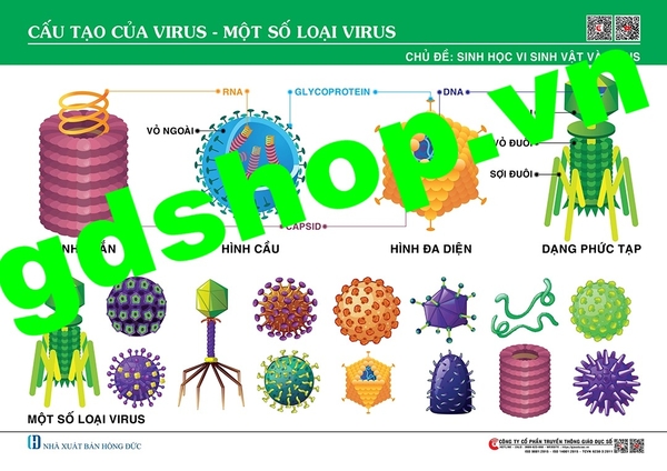 Một số loại virus