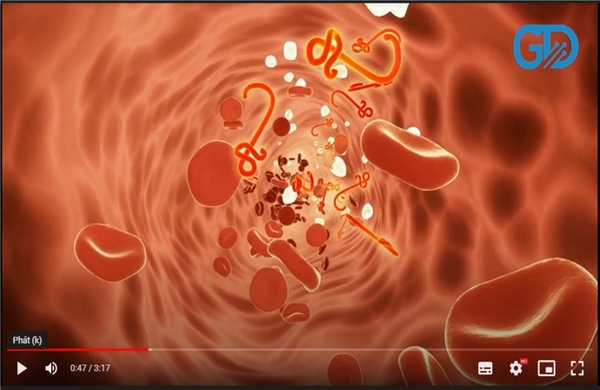 Video về công nghệ tế bào gốc