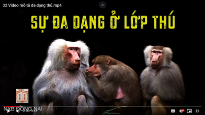 Video mô tả đa dạng thú