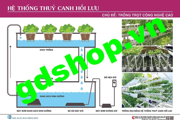 Hệ thống thủy canh hồi lưu