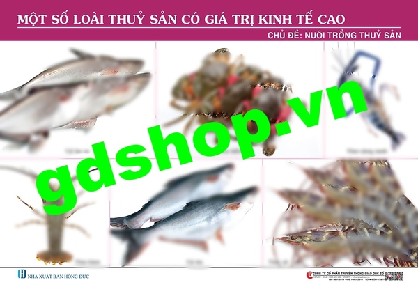 Một số loài thủy sản có giá trị kinh tế cao