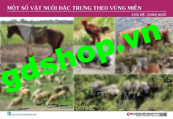 Một số vật nuôi đặc trưng theo vùng miền.