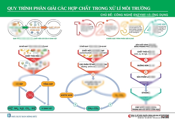 Sơ đồ về quá trình phân giải các hợp chất trong xử lí môi trường bằng công nghệ vi sinh: phân giải hiếu khí, kị khí, lên men.