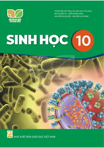 Sinh học 10 (Kết nối)