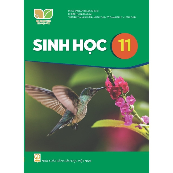 Sinh học 11 (Kết nối tri thức với cuộc sống)