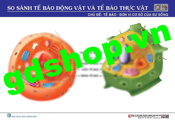 So sánh tế bào thực vật, động vật