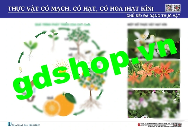 Thực vật có mạch, có hạt, có hoa (Hạt kín)