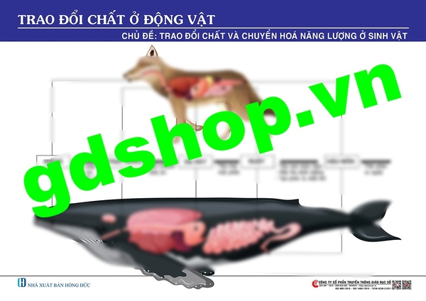 Trao đổi chất ở động vật