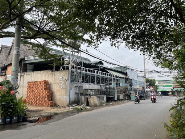 BÁN ĐẤT MẶT TIỀN ĐƯỜNG ĐÔNG THẠNH 8, XÃ ĐÔNG THẠNH, HÓC MÔN