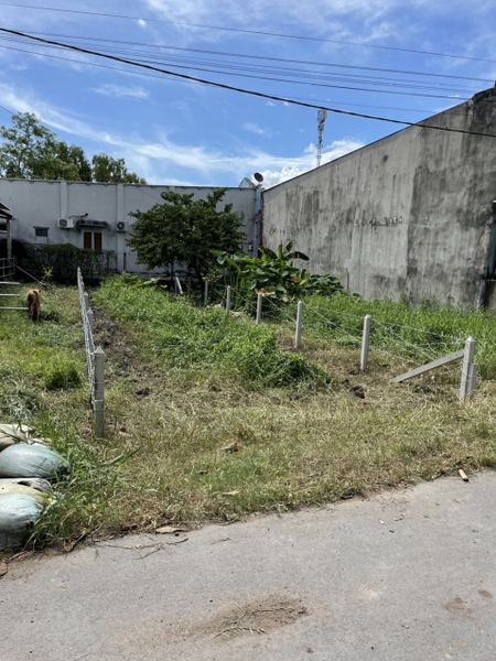 BÁN ĐẤT MẶT TIỀN ĐƯỜNG NHỰA, XÃ TÂN THẠNH ĐÔNG, HUYỆN CỦ CHI