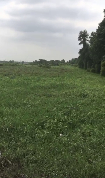 BÁN ĐẤT XÃ PHÚ HOÀ ĐÔNG, HUYỆN CỦ CHI