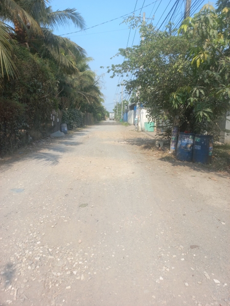 BÁN ĐẤT THỔ CƯ XÃ BÌNH MỸ, HUYỆN CỦ CHI