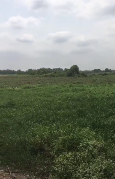 BÁN ĐẤT XÃ PHÚ HOÀ ĐÔNG, HUYỆN CỦ CHI