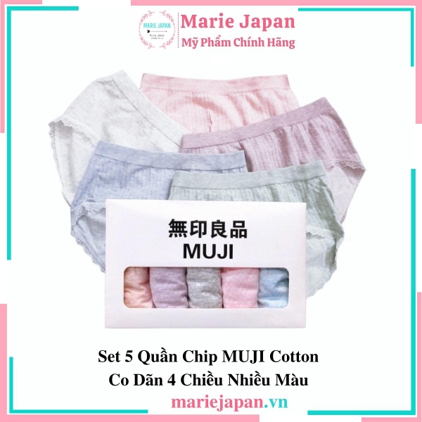 Set 5 Quần Chip Cotton Co Dãn 4 Chiều Nhiều Màu Freesize
