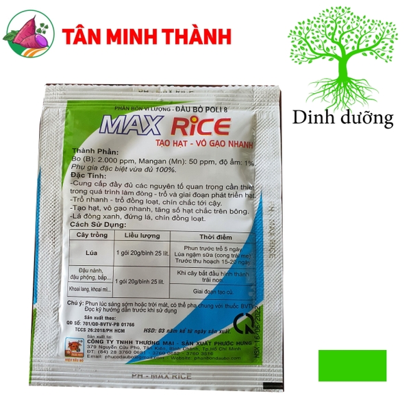 Max Rice To Hạt - Thuốc tạo hạt, vô gạo nhanh, trổ đồng loạt
