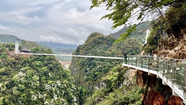 KHÁM PHÁ MỘC CHÂU - CẦU KÍNH BẠCH LONG