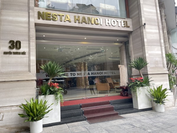 Thi công đặt chậu cây trang trí tại khách sạn Nesta _số 9 Nguyễn Thượng Hiền