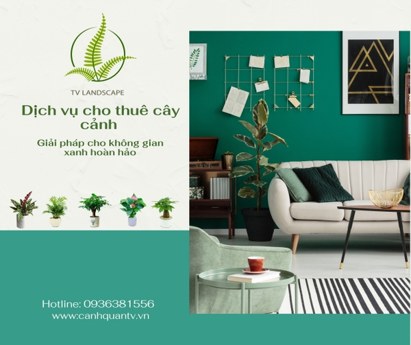 Cho thuê cây cảnh văn phòng