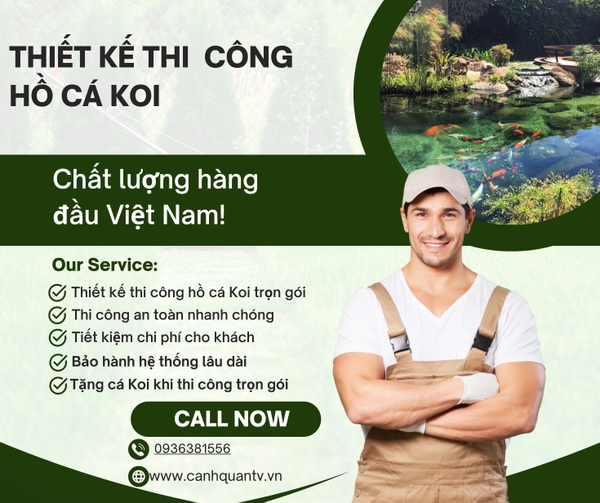 Thiết kế và thi công hồ cá Koi
