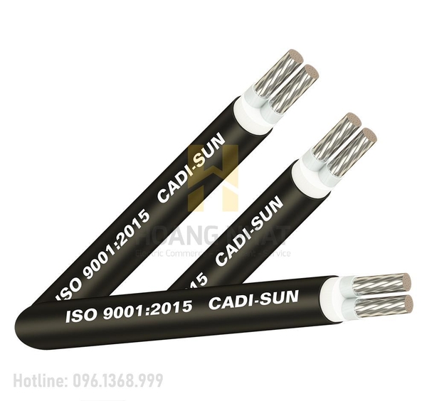 Cáp nhôm 2 lõi bọc cách điện Al/XLPE/PVC 2x70 (0.6/1kV)