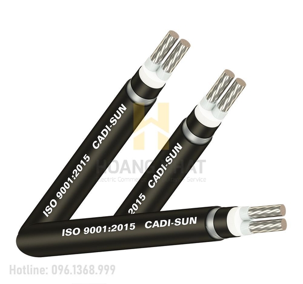 Cáp nhôm ngầm 2 lõi bọc cách điện Al/XLPE/PVC/DSTA/PVC 2x120 (0.6/1kV)