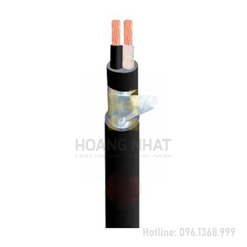 Cáp điện kế Muller 2 lõi ruột đồng bọc PVC DK-CVV-2x16 (0.6/1kV)